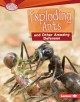 Go to record Exploding ants and other amazing defenses