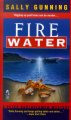 Go to record Fire water #10: a Peter Bartholomew mystery