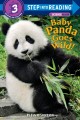 Go to record Baby panda goes wild