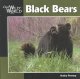 Go to record Black bears