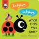 Go to record Ladybug, ladybug, what can you see?