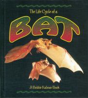 Image of item