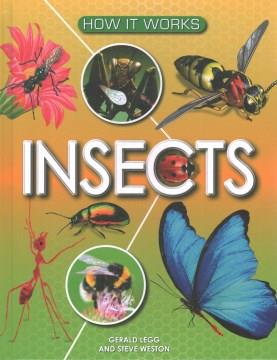 Insects