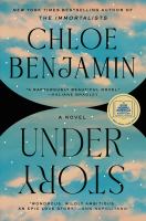 Under story