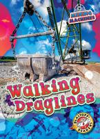 Walking draglines