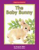 Go to record The baby bunny