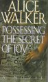 Go to record Possessing the secret of joy