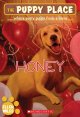 Go to record Honey #14