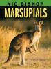 Go to record Marsupials