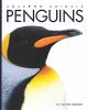 Go to record Penguins