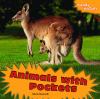 Go to record Animals with pockets