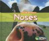 Go to record Noses