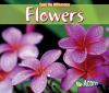 Go to record Flowers