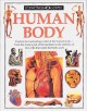 Go to record Human body