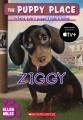 Go to record Ziggy #20