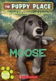 Go to record Moose #23