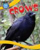 Go to record Crows