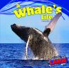 Go to record A whale's life
