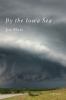Go to record By the Iowa Sea : a memoir