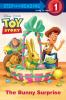 Go to record The bunny surprise
