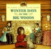 Go to record Winter days in the Big Woods