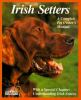 Go to record Irish setters : everything about purchase, care, nutrition...
