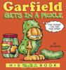 Go to record Garfield gets in a pickle #54