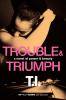 Go to record Trouble & triumph : a novel of power & beauty