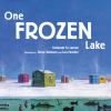 Go to record One frozen lake