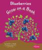 Go to record Blueberries grow on a bush