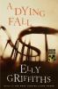 Go to record A dying fall  #5