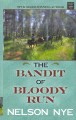 Go to record The bandit of Bloody Run