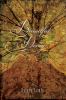 Go to record Beautiful decay