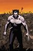 Go to record Wolverine max. 1, Permanent rage