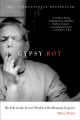 Go to record Gypsy boy : my life in the secret world of the Romany Gyps...