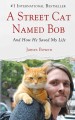 Go to record A street cat named Bob  and how he saved my life