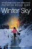 Go to record Winter sky