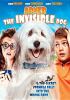 Go to record Abner the invisible dog