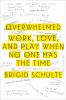 Go to record Overwhelmed : work, love, and play when no one has the time