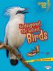 Go to record Endangered and extinct birds