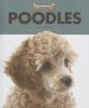 Go to record Poodles
