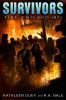 Go to record Fire: Chicago, 1871 #4