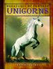 Go to record Unicorns