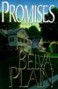 Go to record Promises : a novel