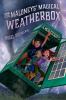 Go to record The Maloneys' magical weatherbox
