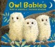 Go to record Owl babies