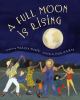Go to record A full moon is rising : poems