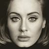 Go to record 25
