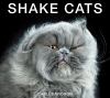 Go to record Shake cats