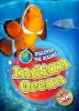 Go to record Indian Ocean